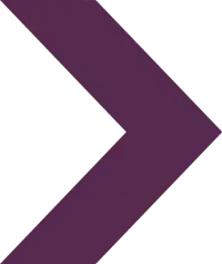 Purple-SnglChev.webp