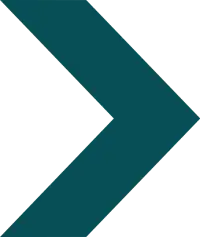 Standard-SnglChev.webp
