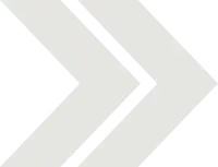 Stone-DblChev.webp