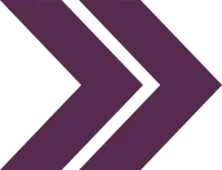 Purple-DblChev.webp