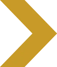 Gold-SnglChev.webp